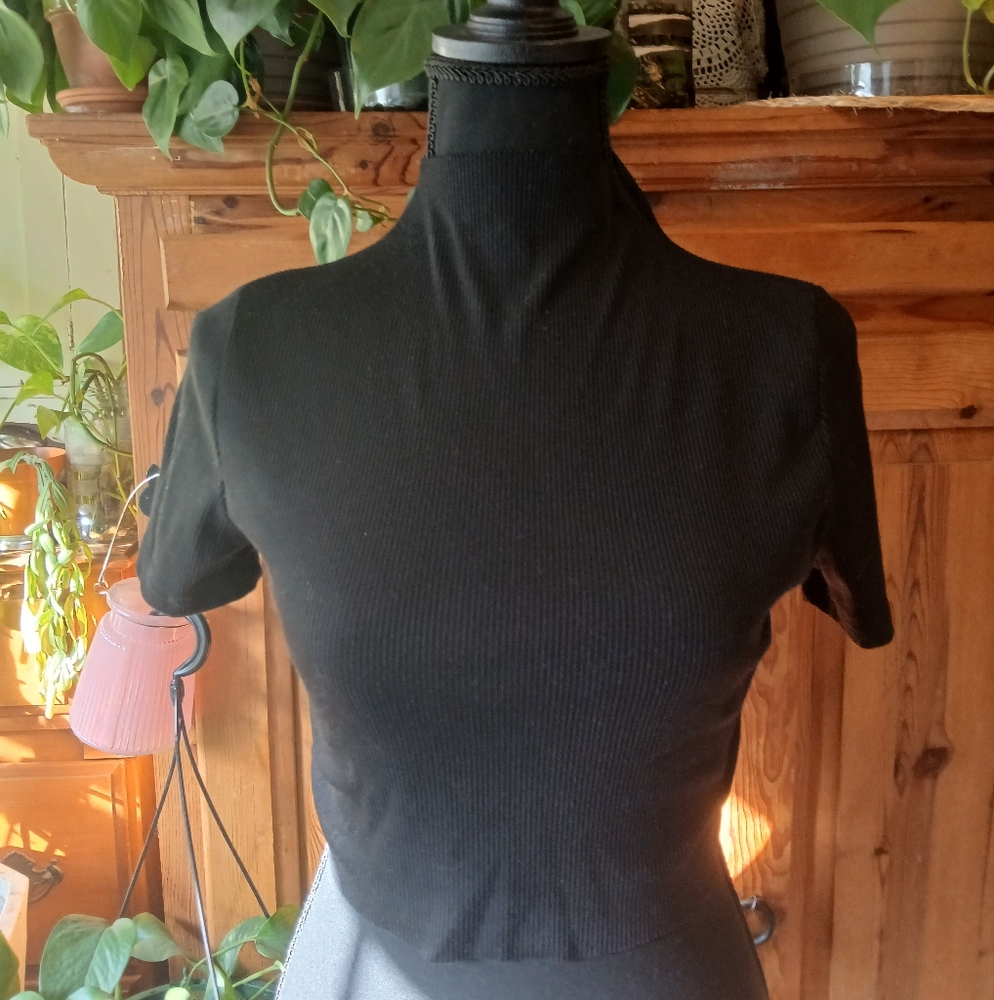 Goth Black Mock Neck Ribbed Crop Top Mod Size XS 90s Y2K